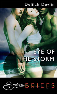 Eye of the Storm Delilah Devlin