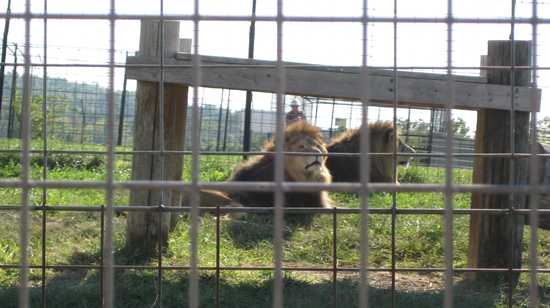 TC-03