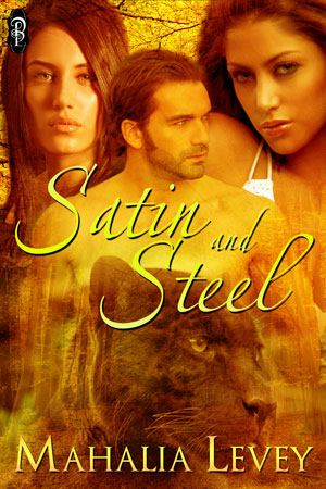 Satin-and-Steel300x450
