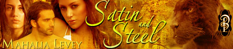 mlSatin-and-Steel_banner